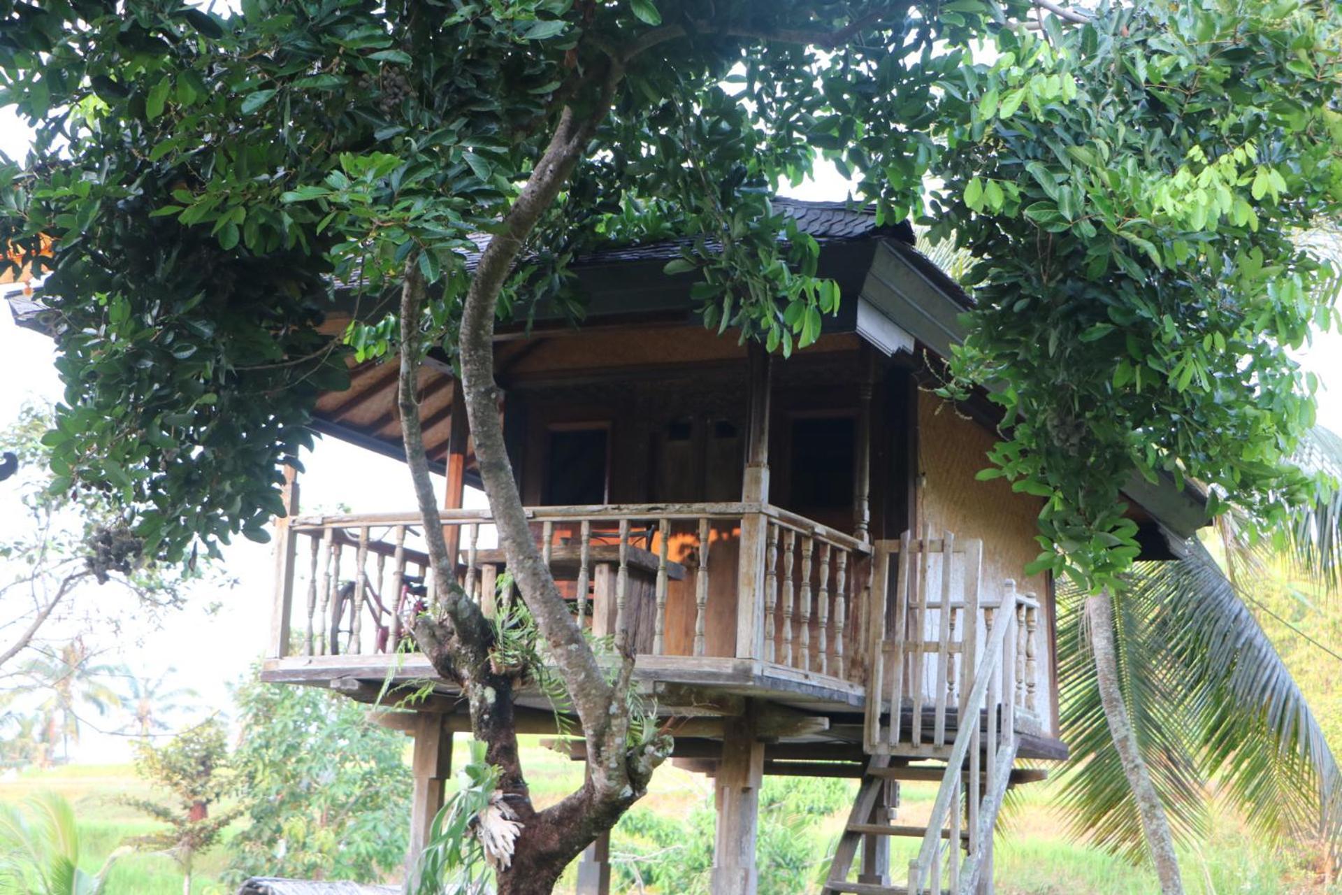 Mesari Cottage Guest House Buleleng  ภายนอก รูปภาพ